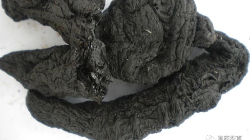 Analysis of the Nine Steaming and Nine Drying Process of Rehmannia Glutinosa