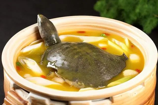 Understanding Hot and Cold Foods in TCM: A Comprehensive Guide