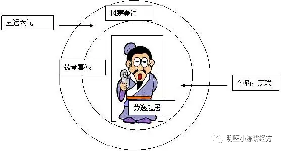 Lecture 130 - Understanding the Pulse of Xiao Chai Hu