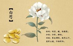 Pharmacist's Insights: Bai Shao (White Peony) - A Perfect Match for Women's Health!