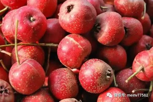 Dan Shen and Its Synergistic Effects: A Natural Approach to Improve Blood Circulation and Prevent Cardiovascular Diseases