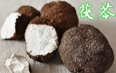 Daily Herb: Poria (Fú Línɡ)