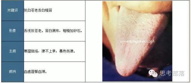 Comprehensive Guide to Tongue Diagnosis (8): 72 Types of Tongue Diagnosis Charts