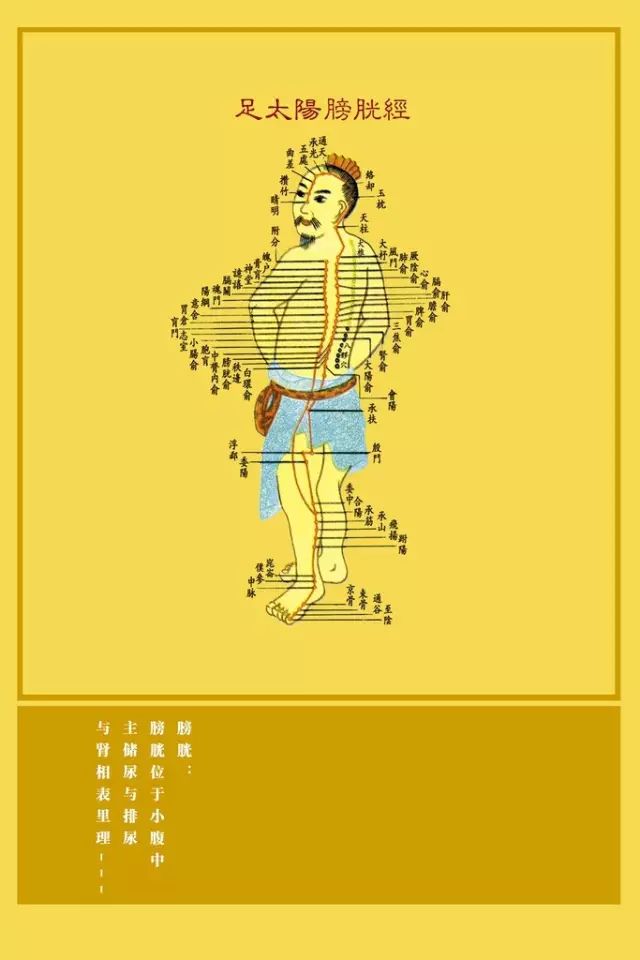 Understanding the Eight Extraordinary Meridians in Traditional Chinese Medicine