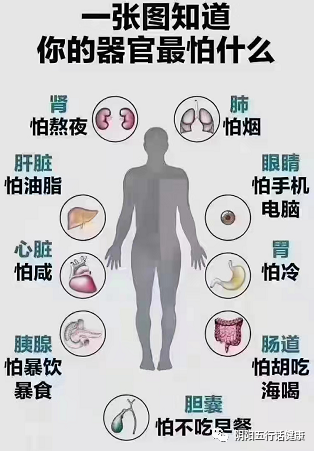 Lecture Nine: Health Preservation for Yin Deficiency Constitution