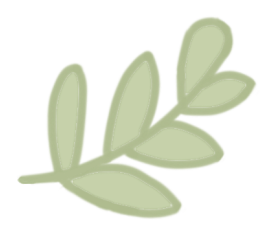 Angelica Sinensis (Dang Gui) | An Overview of Traditional Chinese Medicine