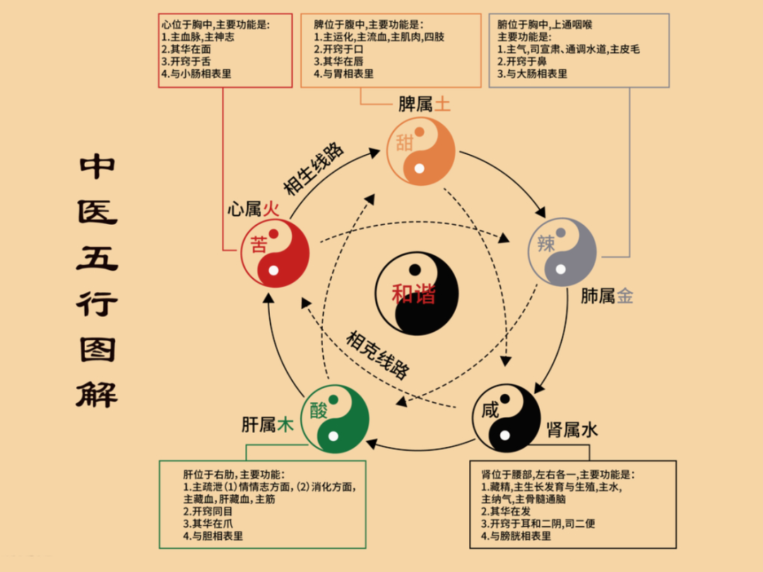 The Theory of Five Elements in Traditional Chinese Medicine