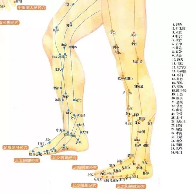 Massage These 4 Areas to Achieve Yin-Yang Balance and Smooth Qi and Blood Flow!