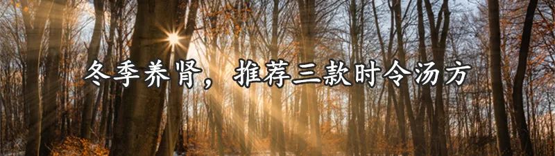 Nourishing the Spleen and Stomach in Winter: A Guide for Those with Spleen-Stomach Yang Deficiency