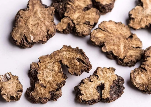 Understanding Herbs: Chuanxiong (Ligusticum chuanxiong)