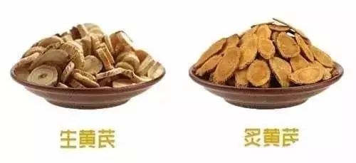 Understanding the Benefits of Astragalus (Huang Qi)