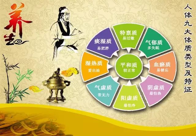 Understanding the Nine Body Constitutions in TCM for Health and Wellness: The Benefits of Lingzhi (Reishi Mushroom)