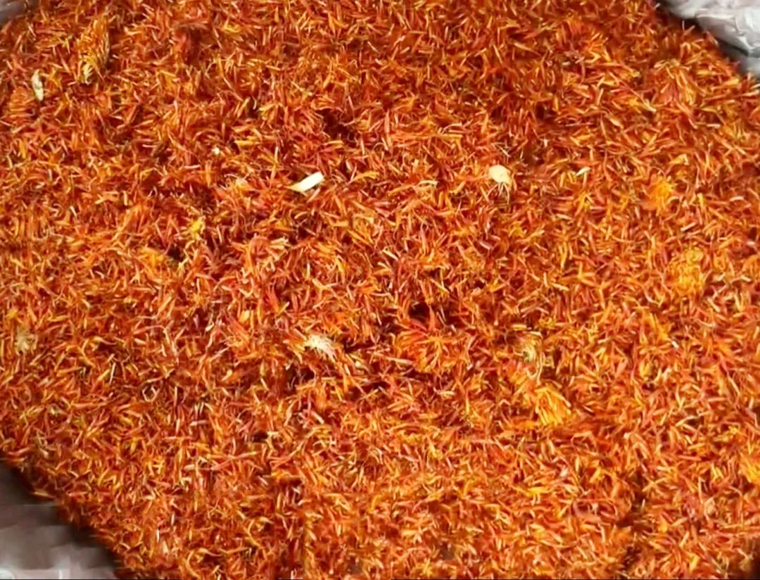 How to Cultivate Safflower (Carthamus tinctorius)?