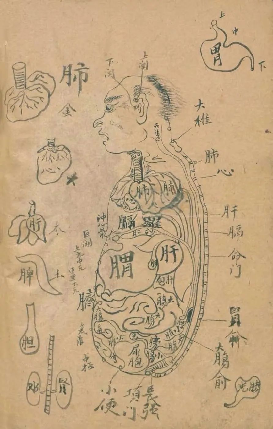 Daoyin Technique: Encountering Your Abundant Self!