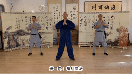 Detailed Explanation of the Twelve Movements of the Ancient Yi Jin Jing