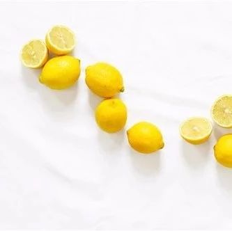 Bai Zhu: The Premier Herb for Qi Supplementation and Spleen Strengthening
