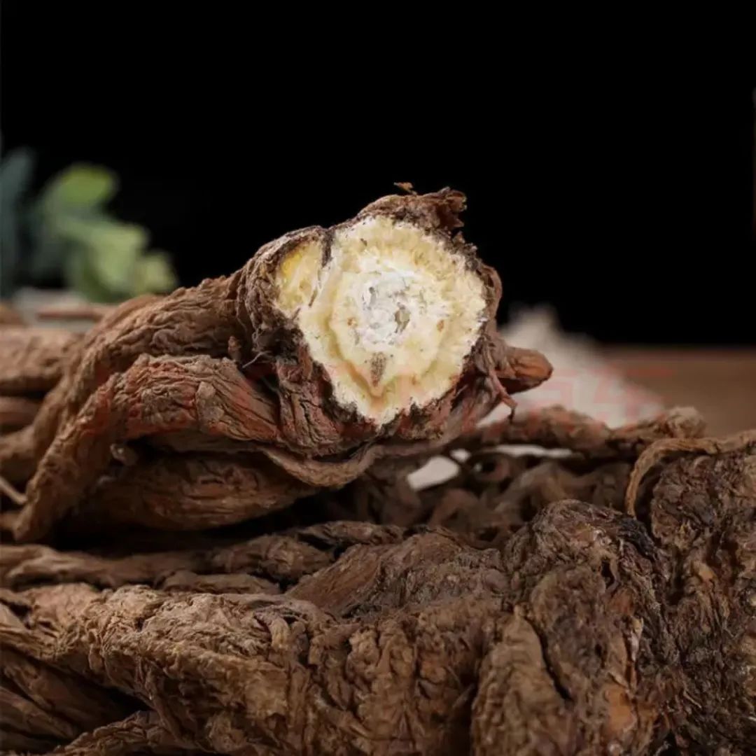 Angelica Sinensis: A Vital Herb in Traditional Chinese Medicine