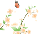Spring Equinox: Balancing Yin and Yang for Health