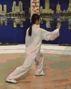 Comprehensive Guide to Tai Chi Movements: Exercise at Home!