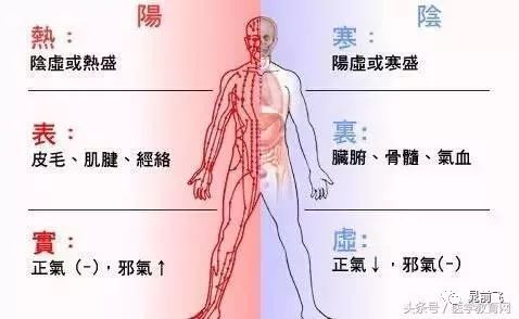 Understanding the Eight Principles of Diagnosis: A Gateway to Traditional Chinese Medicine