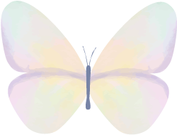 Understanding the Sequence of Generating and Overcoming in the Five Elements