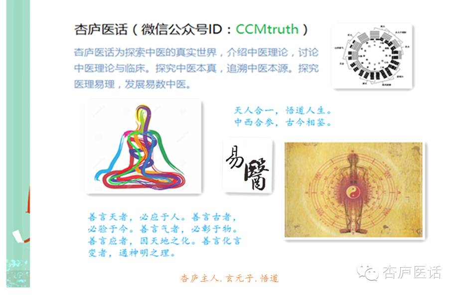 Discussing the Theory of Meridians in Traditional Chinese Medicine - Collaterals, Tendons, and Skin Areas