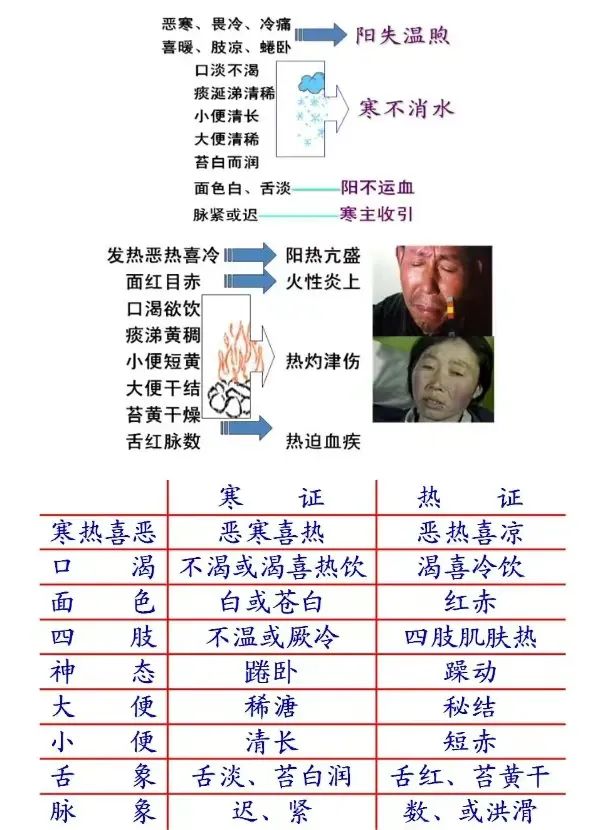 Understanding TCM Diagnosis: Eight Principles and Organ Differentiation to Enhance Your Diagnostic Skills