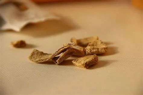 The Differences in Efficacy Among Various Types of Ginger: Fresh Ginger, Dried Ginger, Processed Ginger, Ginger Charcoal, and Galangal