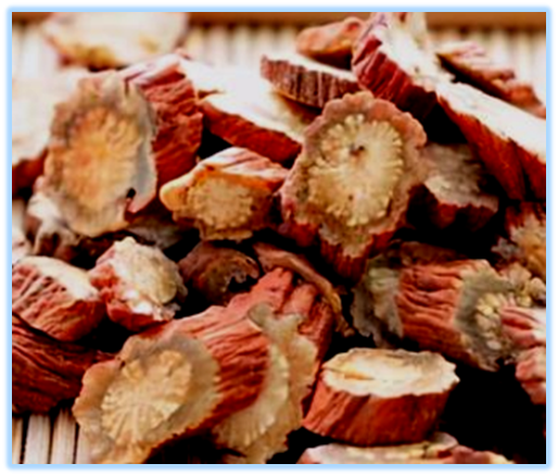 Essential Knowledge of Chinese Medicine: Dan Shen
