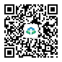 Daily Insight into a Chinese Herbal Medicine