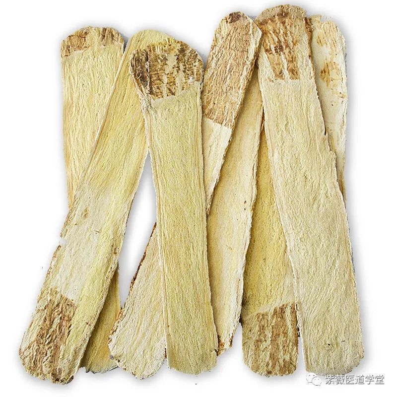 Guide to the Use of Huang Qi (Astragalus)