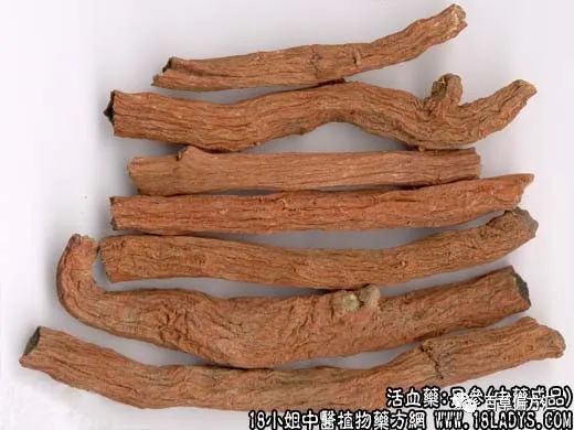 The Efficacy and Functions of Dan Shen (Salvia miltiorrhiza)