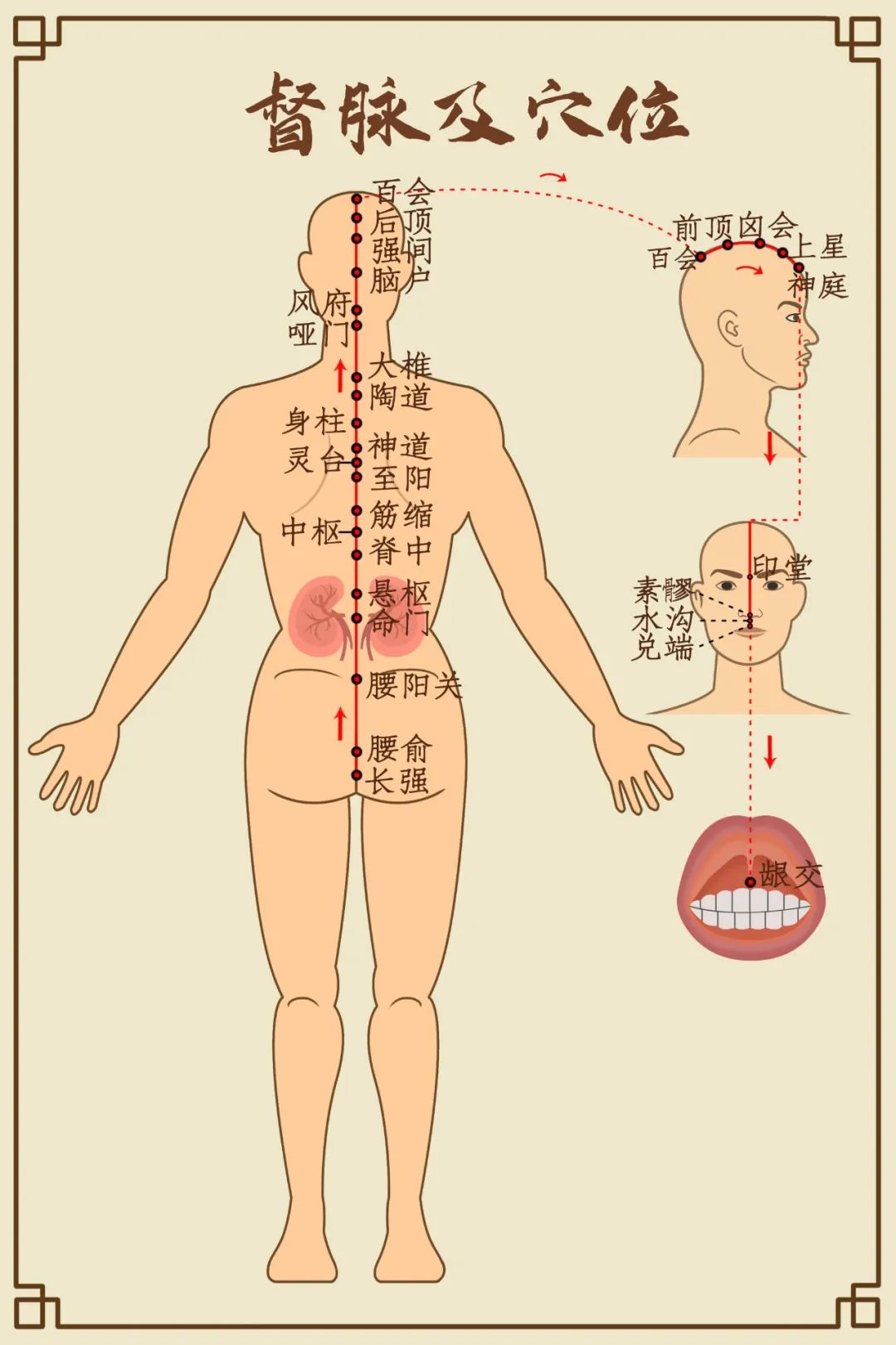 Comprehensive Diagram of Human Meridians (Recommended for Collection)