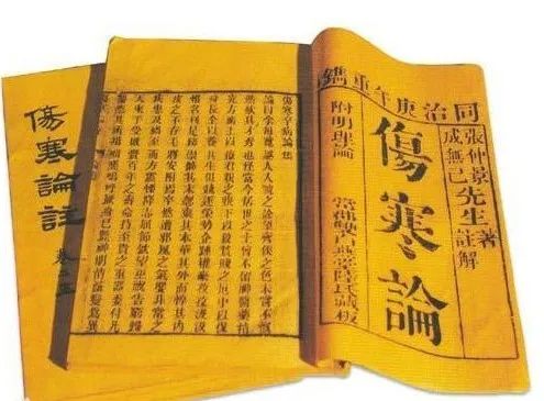A Comprehensive Overview of the Treatise on Cold Damage: The Shang Han Lun