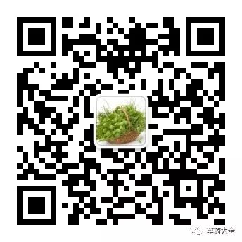 The Efficacy and Functions of Chuanxiong (Ligusticum chuanxiong)