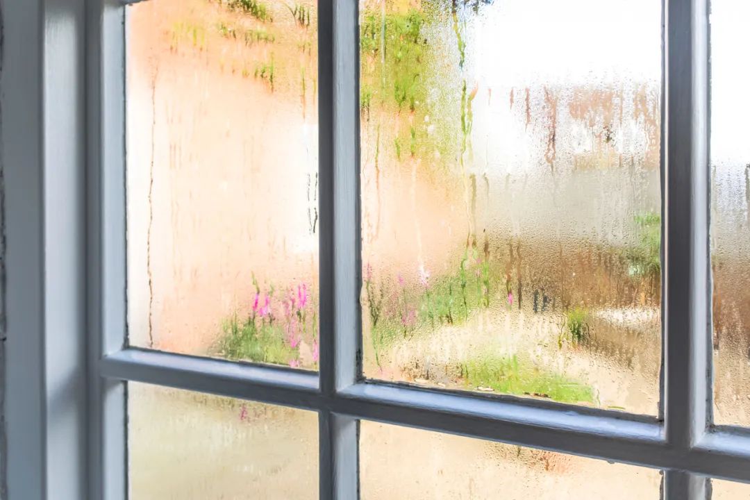 Eliminate Dampness and Feel Light! 5 Precise Methods to Easily Dispel Dampness and Refresh Your Body!