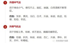 The Importance of Qi in Traditional Chinese Medicine: Learn to Tonify, Regulate, Descend, and Anchor Qi