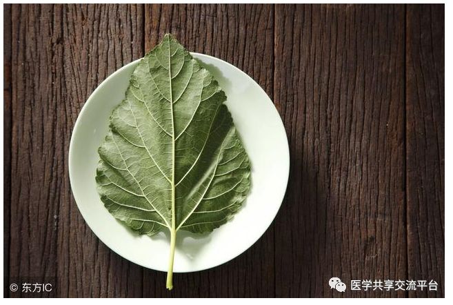 9 Classic TCM Dietary Remedies for Daily Disease Prevention and Treatment