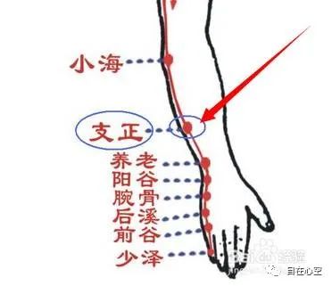 The Fifteen Collaterals in Traditional Chinese Medicine