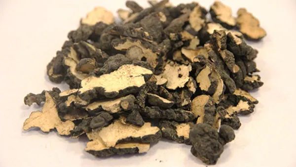 Traditional Chinese Medicine: Astragalus (Huang Qi)