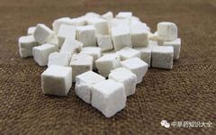 Effects and Functions of Poria (Fu Ling)