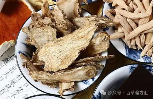 The Efficacy and Functions of Angelica Sinensis (Dang Gui)