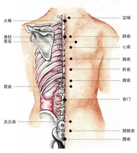 The Eight Most Common Techniques of Gua Sha and Comprehensive Analysis of Sha Patterns