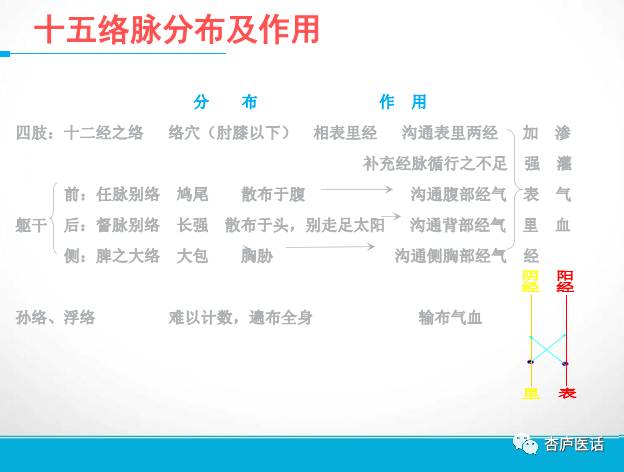 Discussing the Theory of Meridians in Traditional Chinese Medicine - Collaterals, Tendons, and Skin Areas