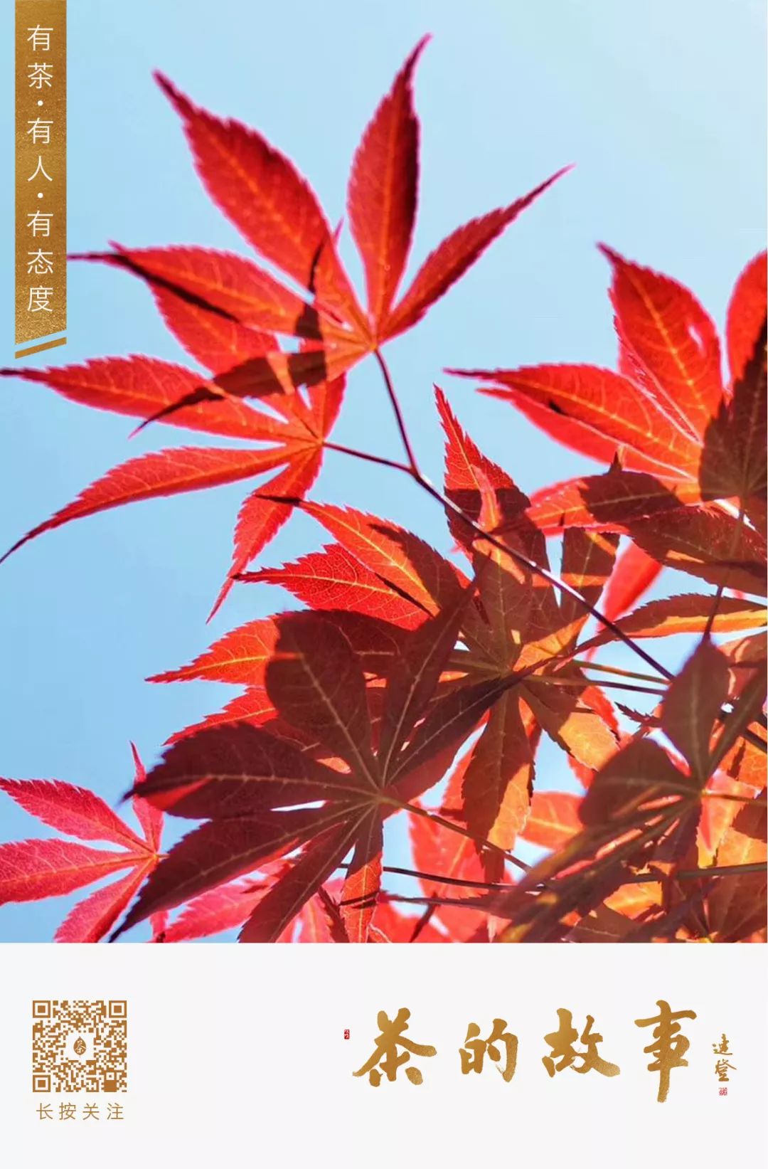 Autumn Equinox Health Preservation: Balancing Yin and Yang