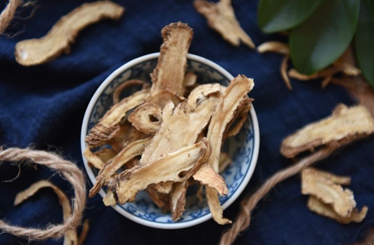 The Numerous Benefits of Angelica Sinensis for Women: Essential for This Group