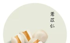 Clinical Applications of Coix Seed (Yi Yi Ren) in Traditional Chinese Medicine