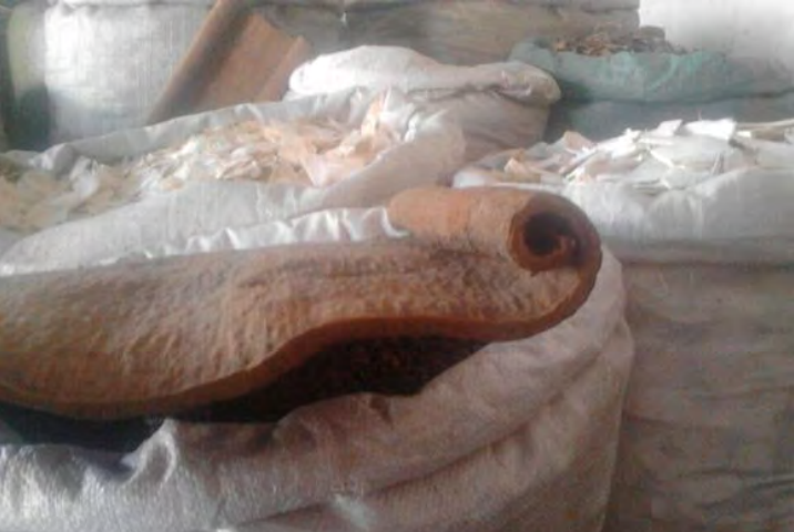 Traditional Chinese Medicine Herb: Cinnamon