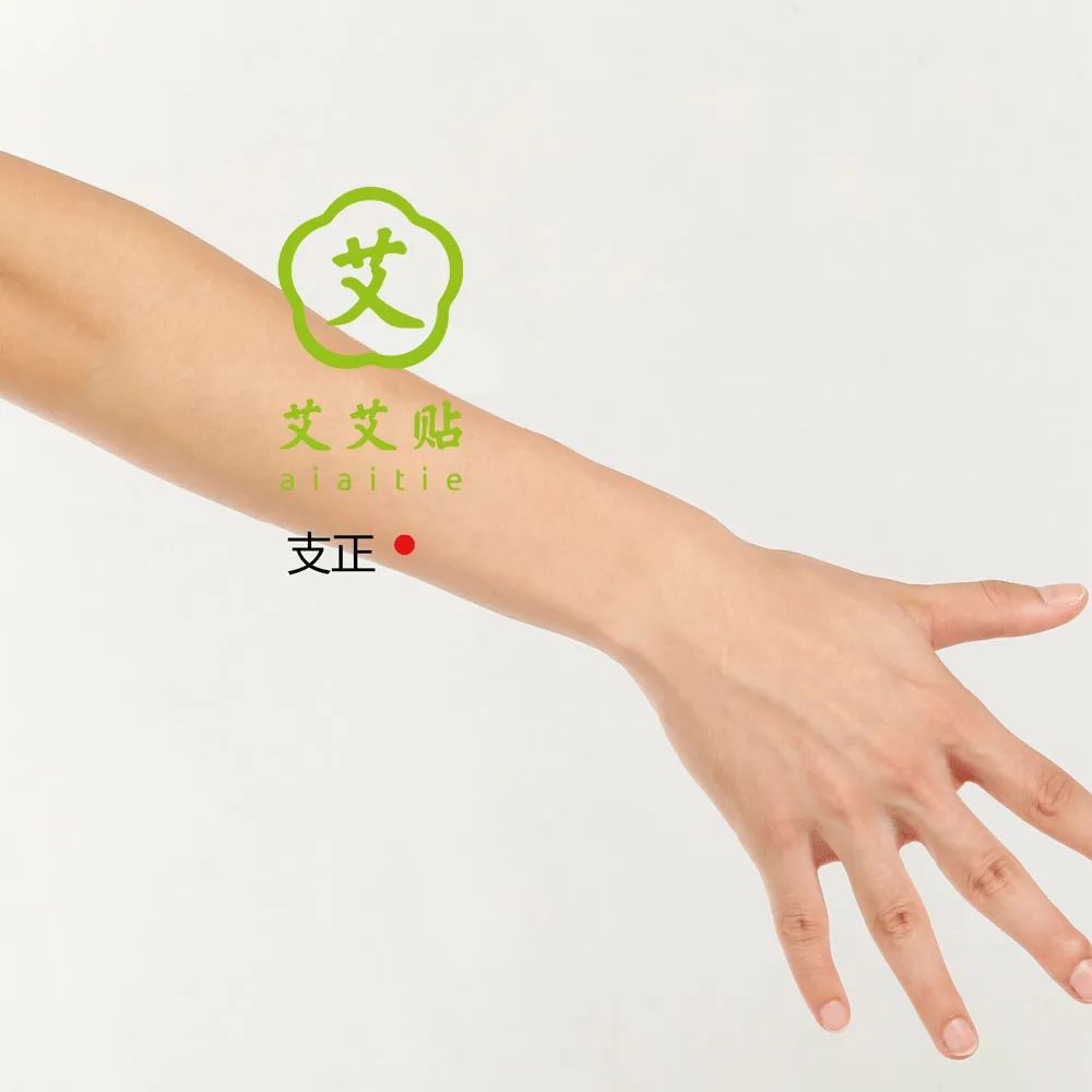 The Hand Taiyang Small Intestine Meridian: Differentiating Clarity and Turbidity, Transforming Qi and Blood