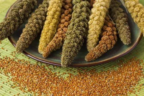 The Value of Whole Grains: Nourishing with the Five Grains